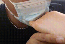 3173.gif